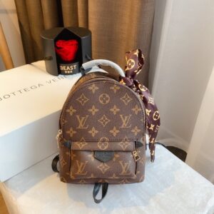 Louis Vuitton Palm Springs Backpack Mini Monogram