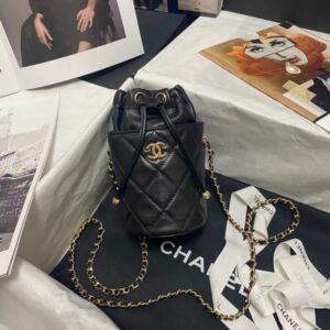 Chanel Bucket Water Bottle Bag AS2259