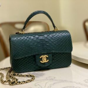 Chanel Imported Python Skin